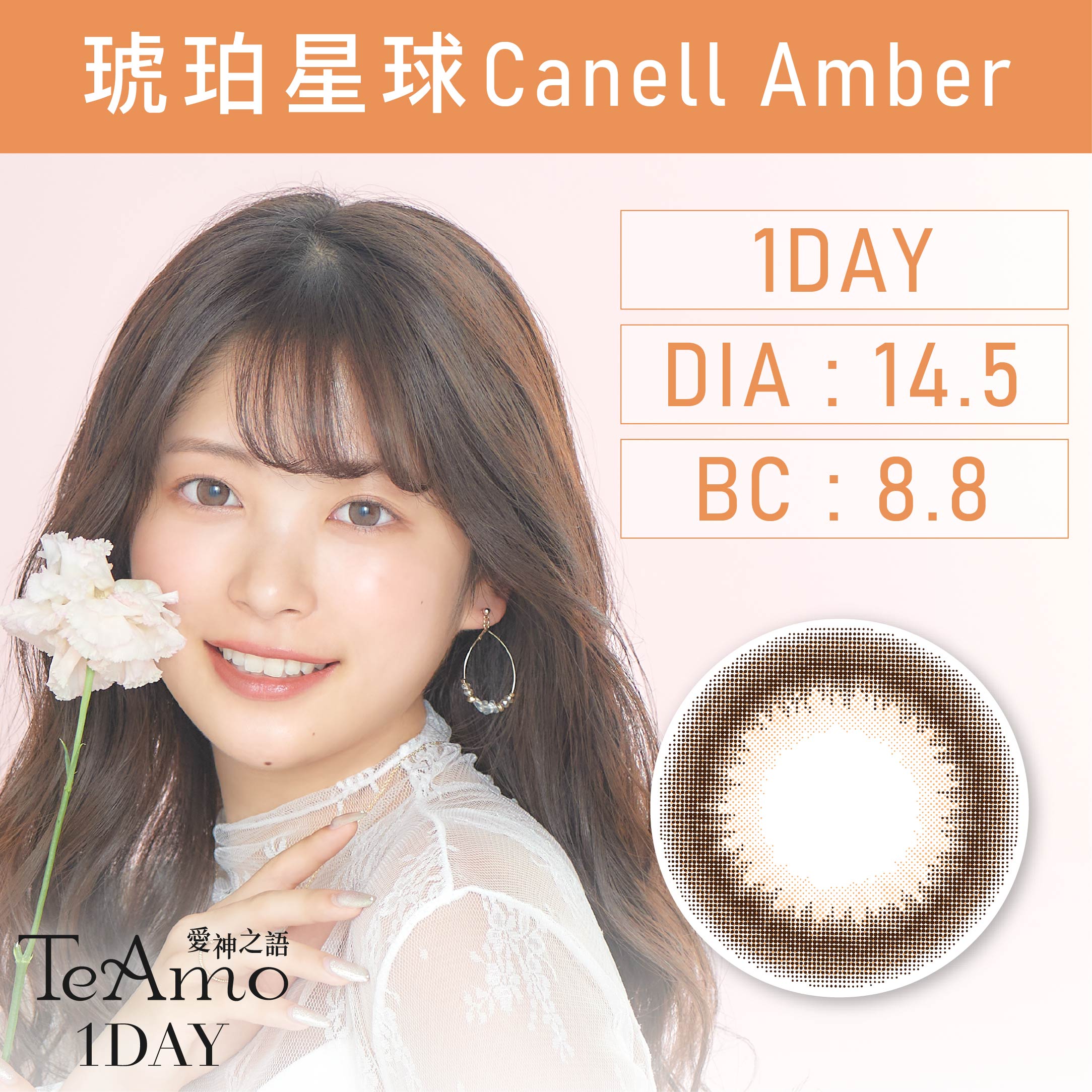TeAmo 1day 《Canell Amber - 琥珀星球》 1盒10片裝